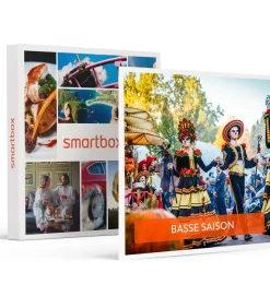 Bongo 2 dagen Europa-Park voor 1 volwassene in het laagseizoen - Actie