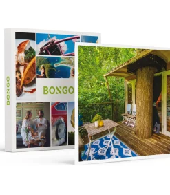 New 2 dagen in een boomhut nabij Amsterdam, incl. ontbijt en bierpakket - Overnachten Geschenken