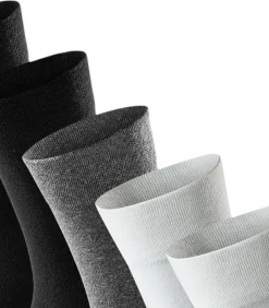 Hot 10 pack Bluebird - sokken Heren Sokken