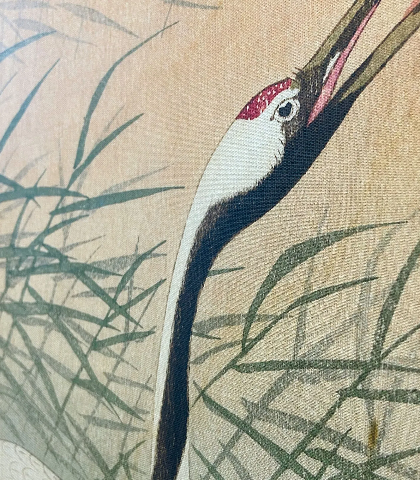 New Canvas - Kraanvogels in de Ochtend - 100x54 Wanddecoratie