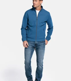 Online sweatvest - Delftblauw Heren Truien & Cardigans