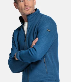 Online sweatvest - Delftblauw Heren Truien & Cardigans