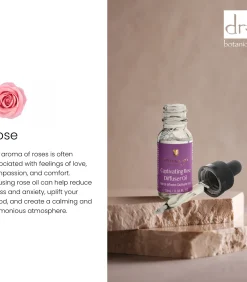 Online Betoverende Rozen Diffuser Olie 10ml Huisparfums