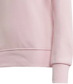 Kinderen Adidas BIG LOGO - Sweatshirt - Roze