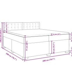 vidaXL Boxspring met matras fluweel lichtgrijs 200x200 cm