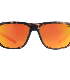 Heren Trespass BRINLEY - Zonnebril - Bruin