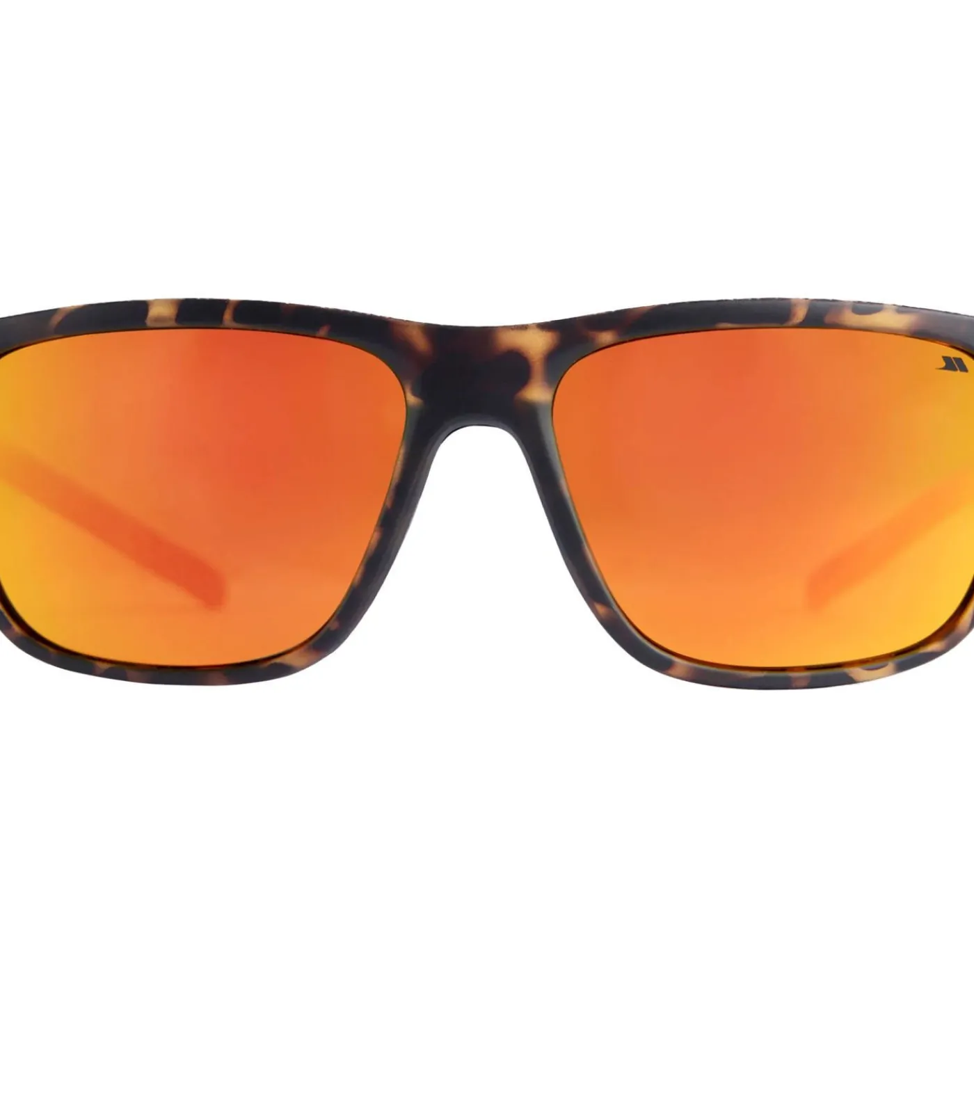 Heren Trespass BRINLEY - Zonnebril - Bruin