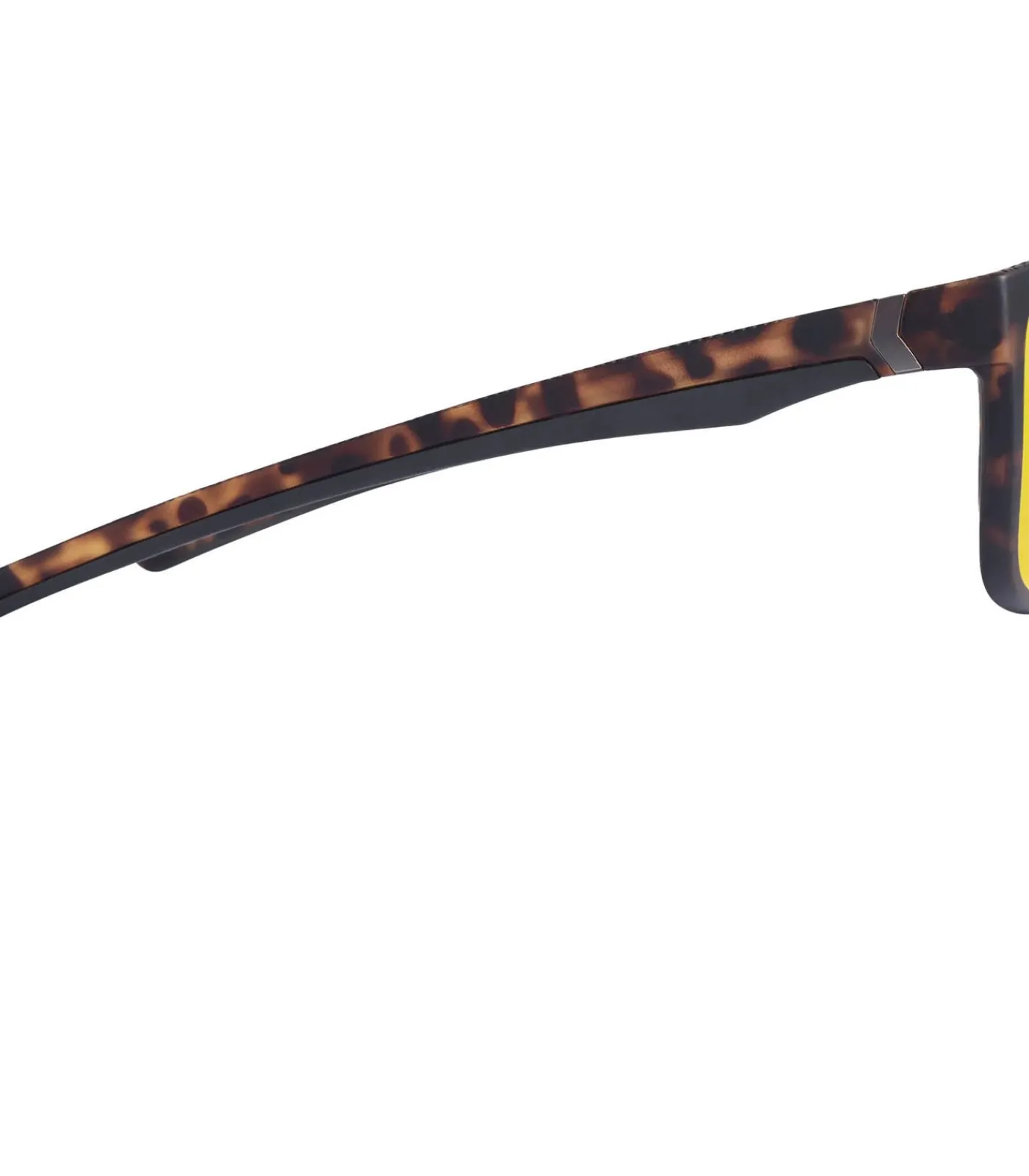 Heren Trespass BRINLEY - Zonnebril - Bruin