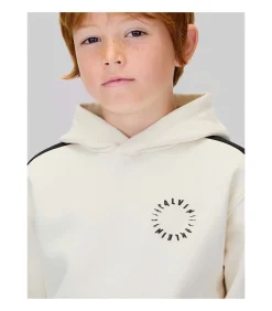 Kinderen Calvin Klein Brushed Fleece Clr Block Hoodi