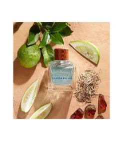 Hollister Canyon Escape Eau de Toilette voor Hem 100 ml