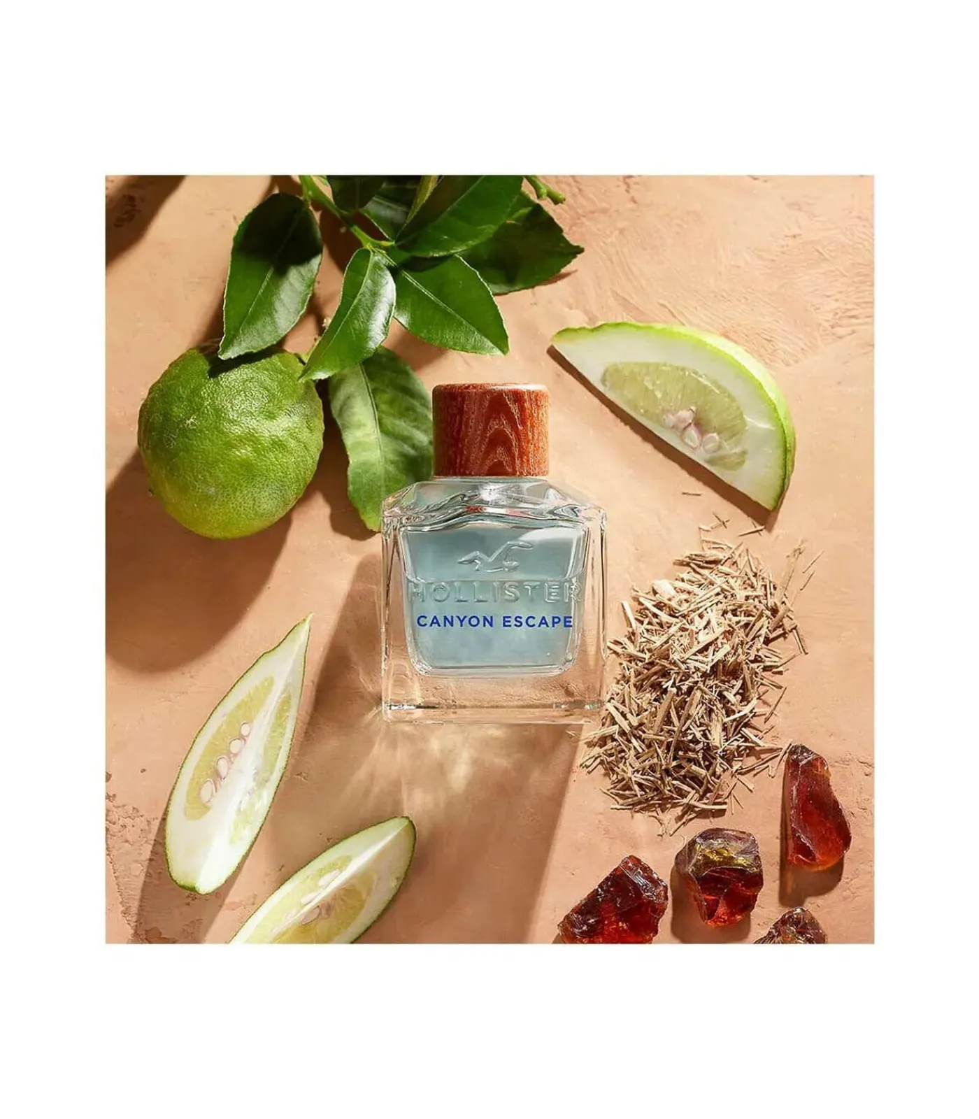 Hollister Canyon Escape Eau de Toilette voor Hem 100 ml