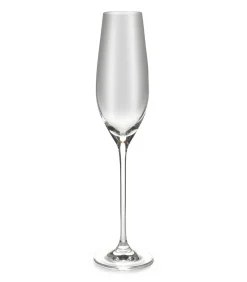 Salt&Pepper Champagneglas 21cl Cuvee - set/6