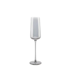 Champagneglas 24cl smoked Ray - set/4 Glazen & Karaffen