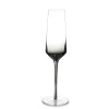 Hot Champagneglas 23cl smoked Secrets - set/2 Glazen & Karaffen
