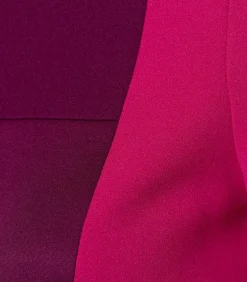 Clearance Chanera Blazer Dark Berry DAMES Maatpakken & Blazers