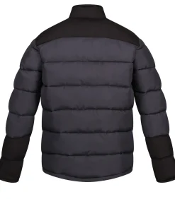 Heren Regatta Professional CONTRAST - Jasje - Donkergrijs