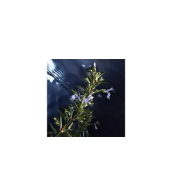 Davidoff Cool Water Reborn Eau de Toilette 125 ml