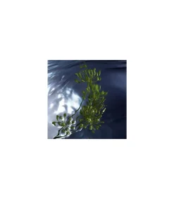 Davidoff Cool Water Reborn Eau de Toilette 125 ml