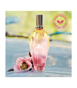 Clearance Cuban Breeze Eau de Toilette 100 ml Eau De Toilette