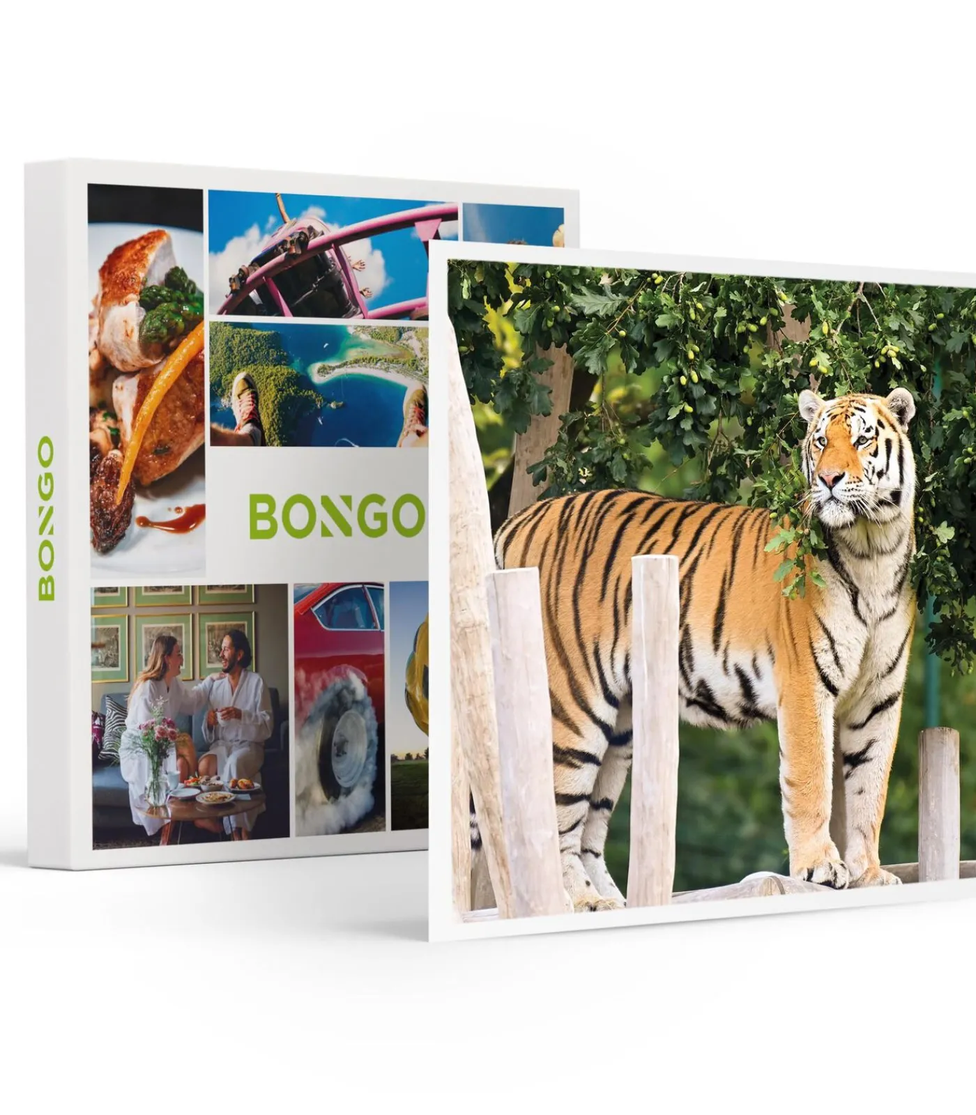 Outlet Dagje Bellewaerde voor 1 persoon - Actie Geschenken