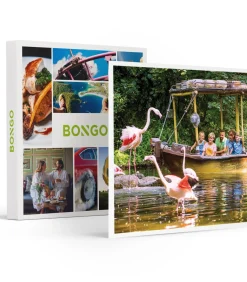 Hot Dagje Bellewaerde voor een gezin van 4 - Actie Geschenken