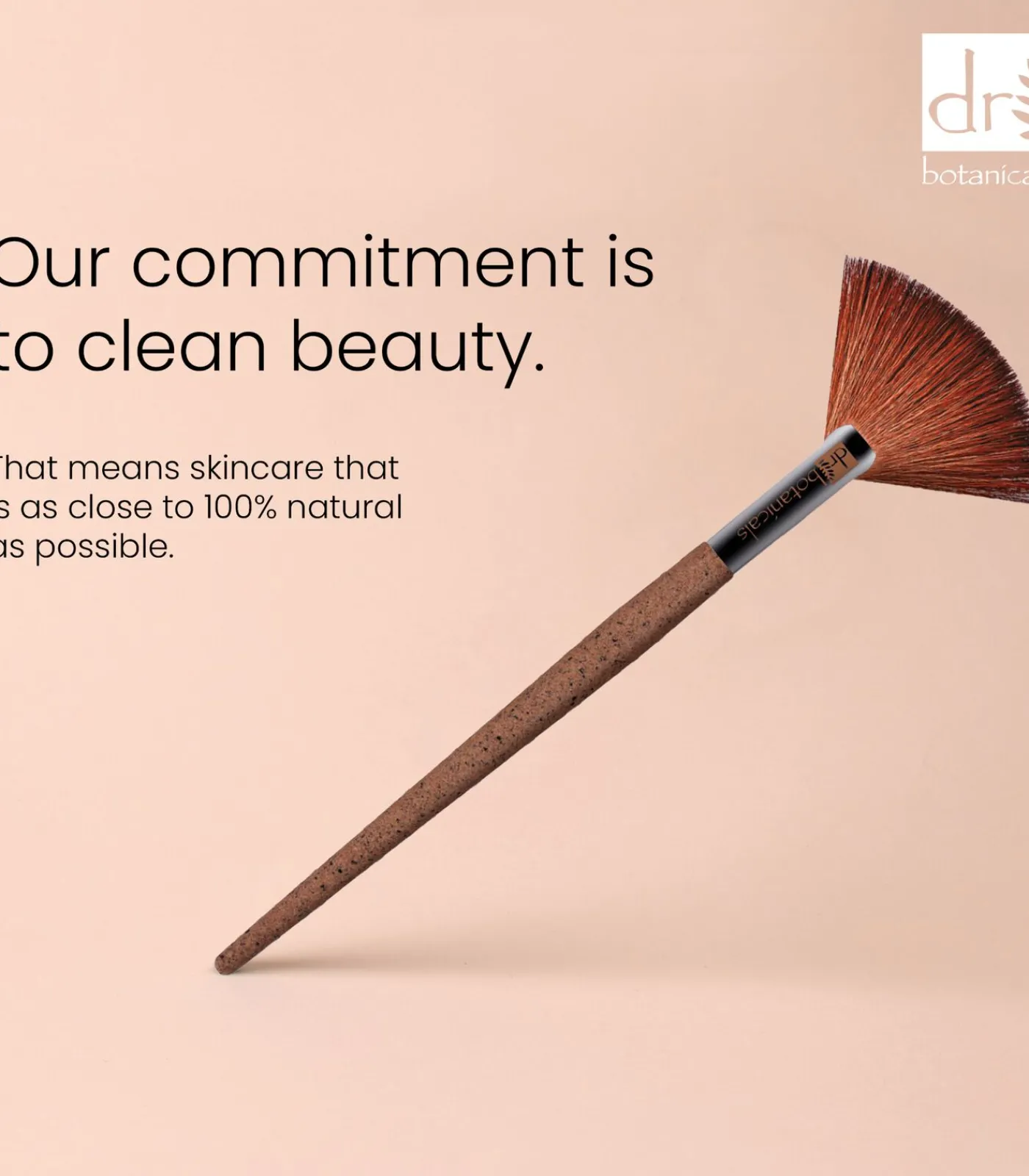 Dr Botanicals DB koffiedik waaierborstel