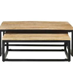 vidaXL 2-delige Salontafelset massief mangohout