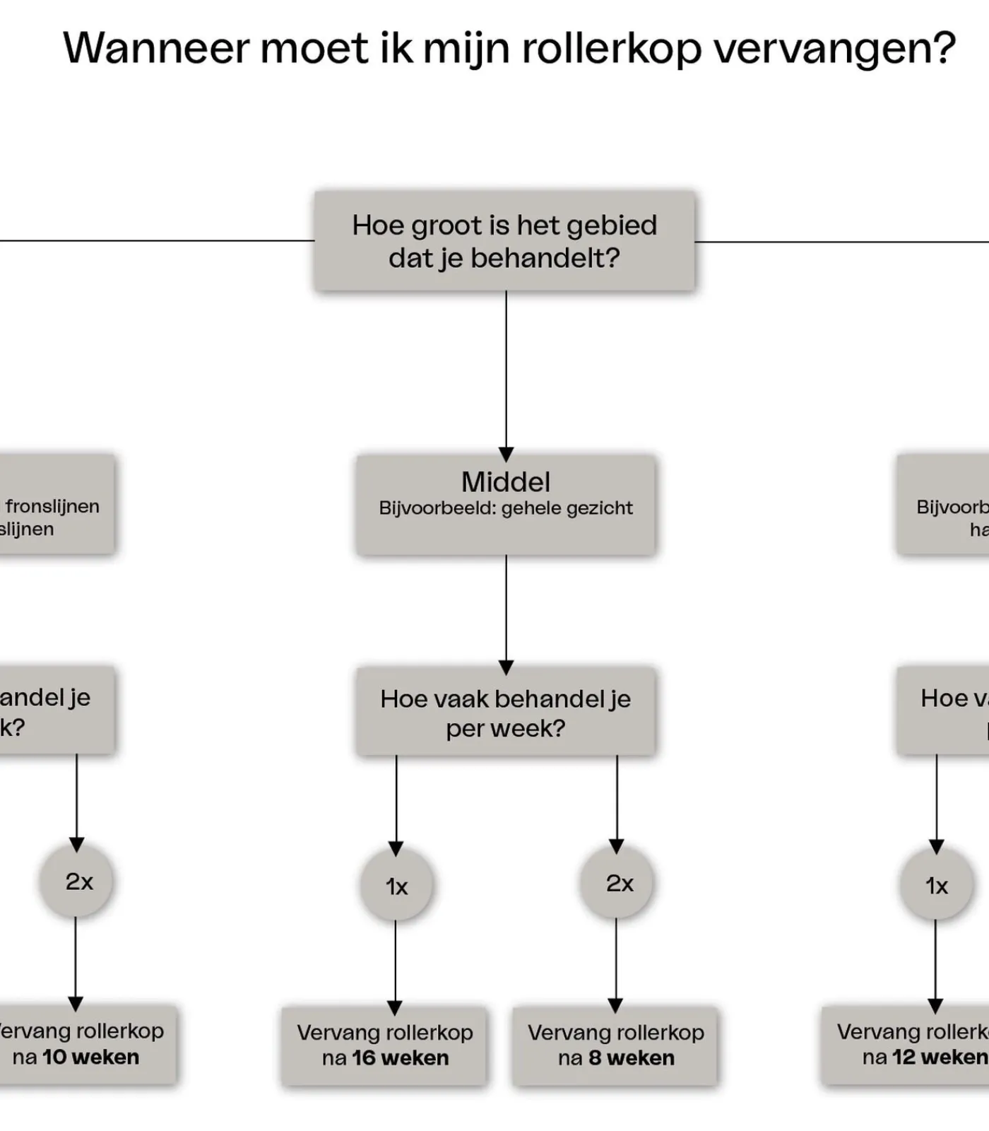 LAYZIN Dermarollerkop maat L met naaldjes van 1.2 mm