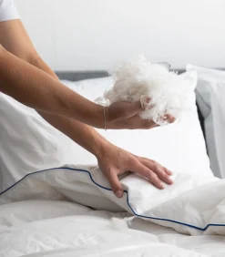 Fabiola Dons 4-Seizoenen Dekbed