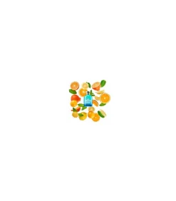 Best Eau de Toilette voor Hem Feelin' Free 100 ml Eau De Toilette