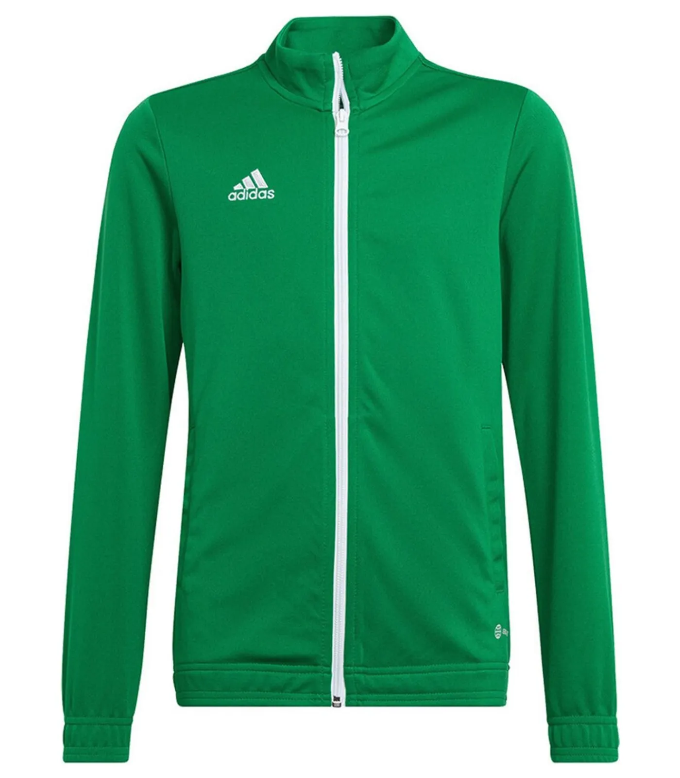 Online ENTRADA 22 - Jasje - Groen Kinderen Sportkledij