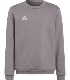 Kinderen Adidas ENTRADA 22 - Sweatshirt - Grijs