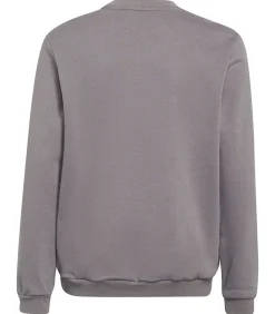 Kinderen Adidas ENTRADA 22 - Sweatshirt - Grijs