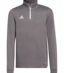 Kinderen Adidas ENTRADA 22 - Sweatshirt - Grijs