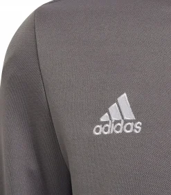 Kinderen Adidas ENTRADA 22 - Sweatshirt - Grijs