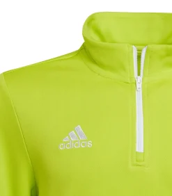Kinderen Adidas ENTRADA 22 - Sweatshirt - Groen