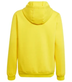 Online ENTRADA 22 - Trui met kap - Geel Kinderen Truien & Cardigans