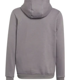 Outlet ENTRADA 22 - Trui met kap - Grijs Kinderen Truien & Cardigans