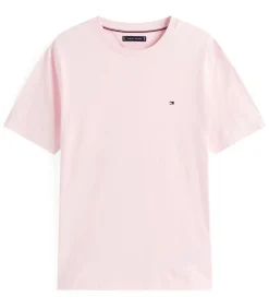 Ess Seasonal Reg Fit Heren T-Shirts & Polo's