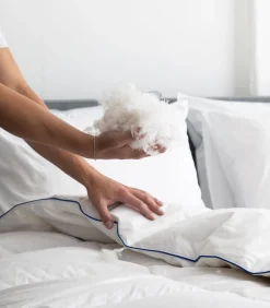 Fabiola - Zacht Halfdons Hoofdkussen - Set van 2 stuks