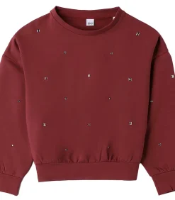 Sale Felpa Chiusa Con O Senza Cappuccio Kinderen Truien & Cardigans