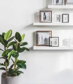 XLBoom FLOATING Box 20 x 25 wit