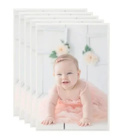 vidaXL Fotolijsten 5 st voor tafel 21x29,7 cm MDF zilverkleurig