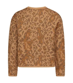 DAMES Cartoon Gebreid vest