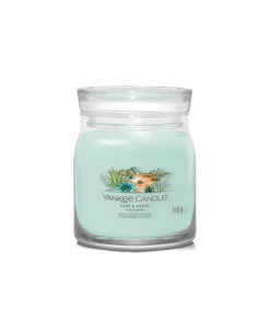 Hot Geurkaars Aloe & Agave Signature Medium Jar Kaarsen & Kaarshouders