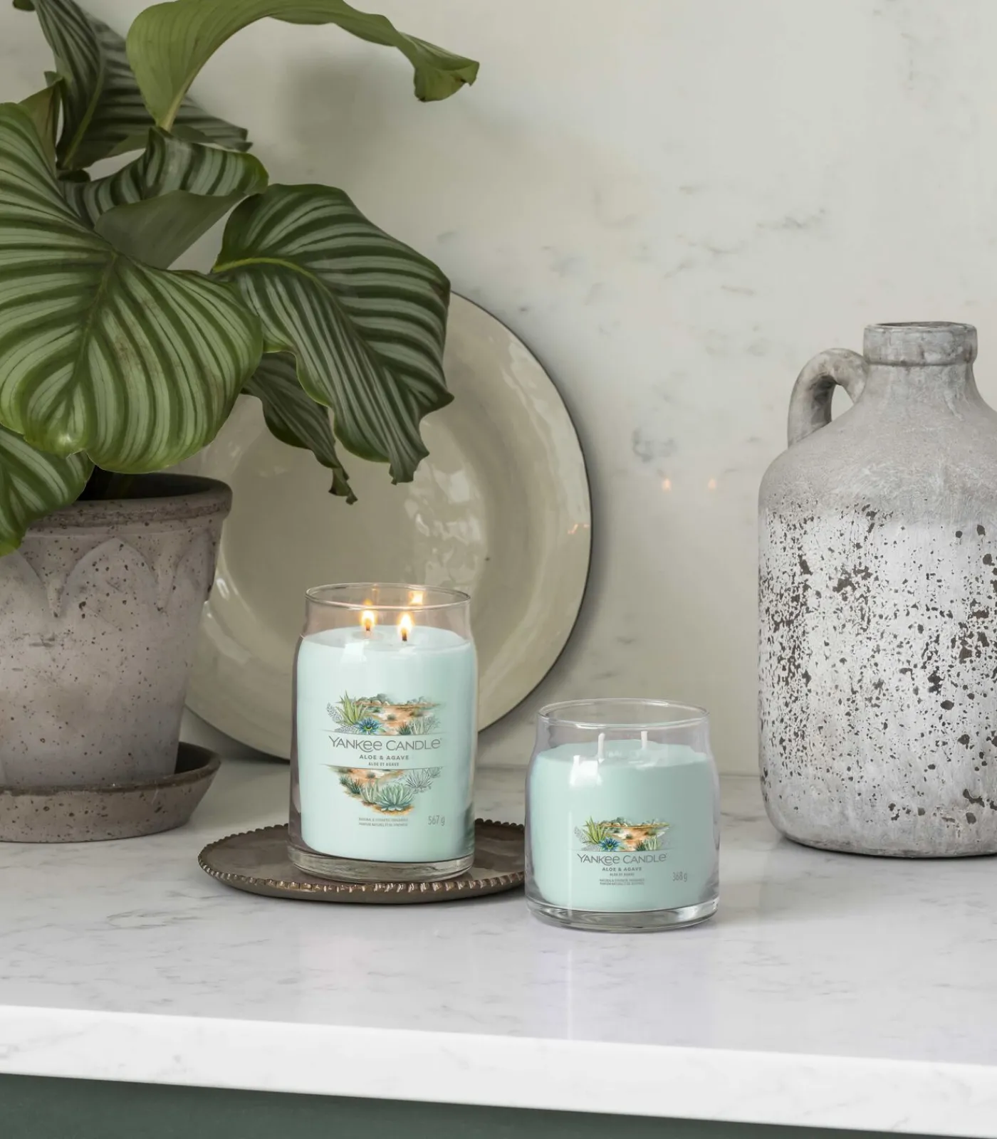 Hot Geurkaars Aloe & Agave Signature Medium Jar Kaarsen & Kaarshouders