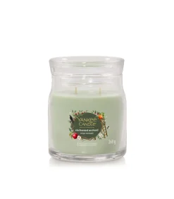Yankee Candle Geurkaars Enchanted Orchard Signature Medium Jar