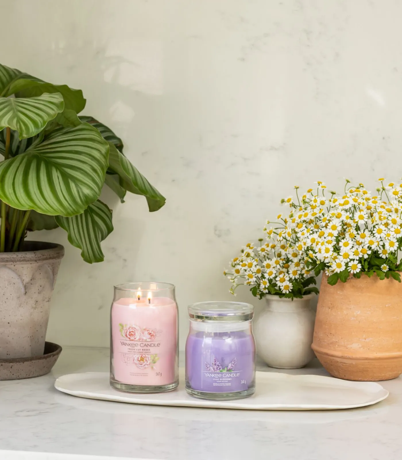 Best Geurkaars Lilac Blossoms Signature Medium Jar Kaarsen & Kaarshouders