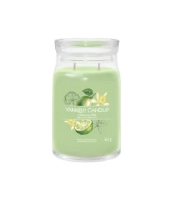 Hot Geurkaars Vanilla Lime Signature Large Jar Kaarsen & Kaarshouders