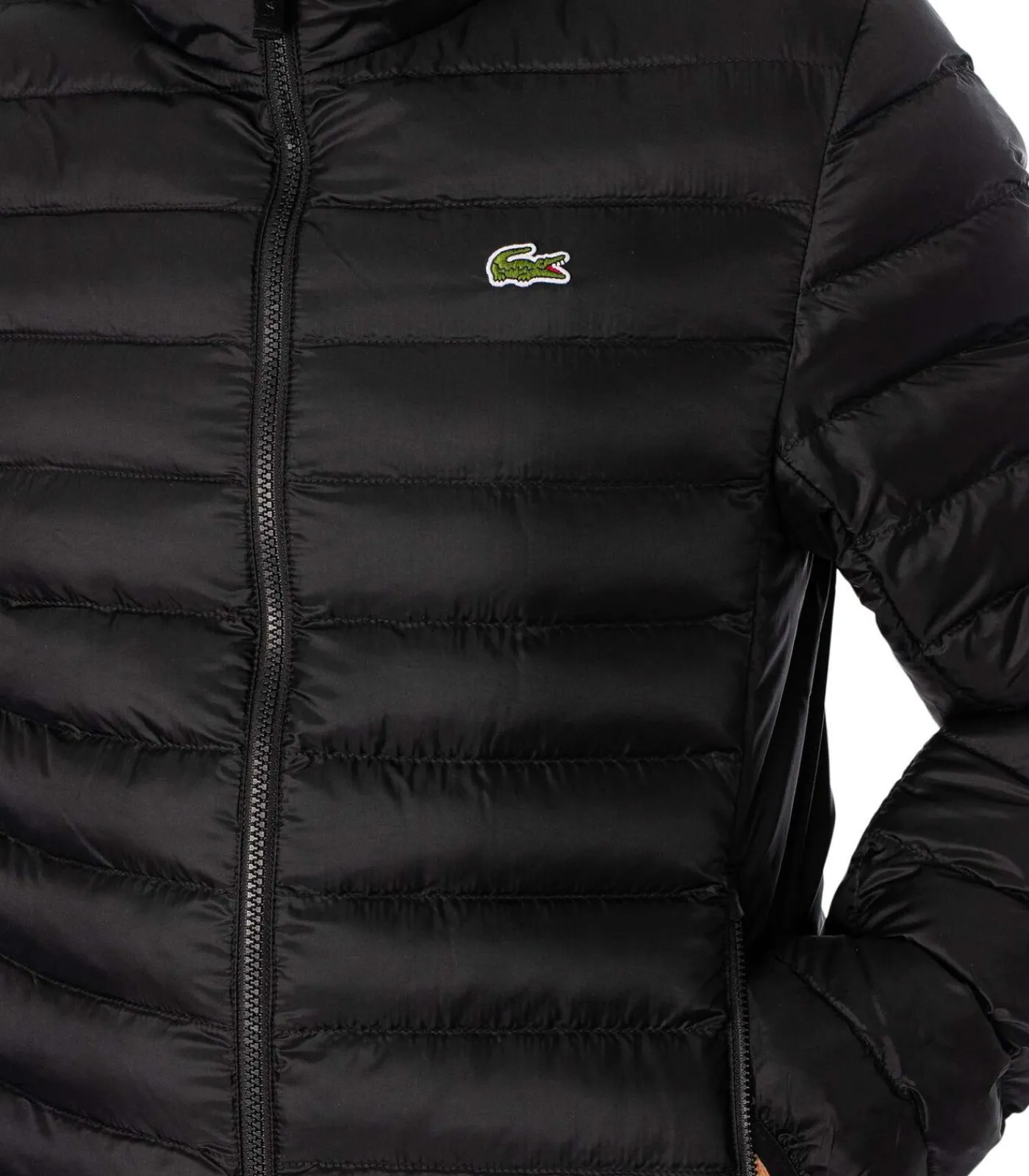 Heren LACOSTE Gewatteerde Gewatteerde Jas